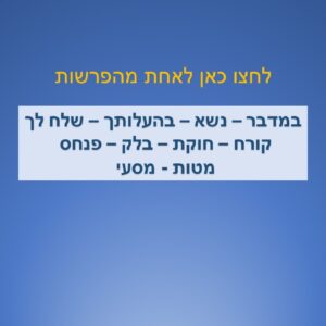 חומש במדבר